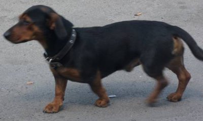 SAM_1414_500x299.jpg (15.99 KiB) Просмотров: 10294 SAM_1414_500x299.jpg